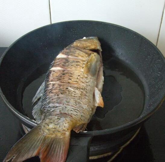 凉拌黑木儿:夏日宠物美食新体验